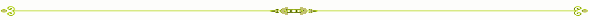 line-divider1